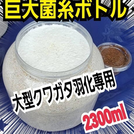 インセクトショップ