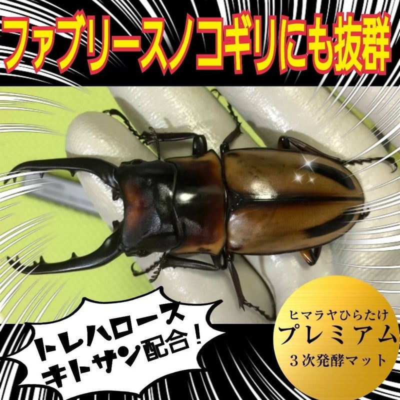 プレミアム3次発酵クワガタマット【10リットル】特殊アミノ酸・共生