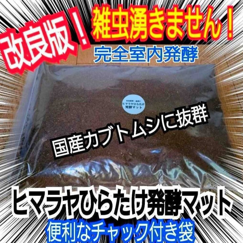 国産カブトムシにお薦め！ヒマラヤひらたけ菌床発酵マット【10リットル