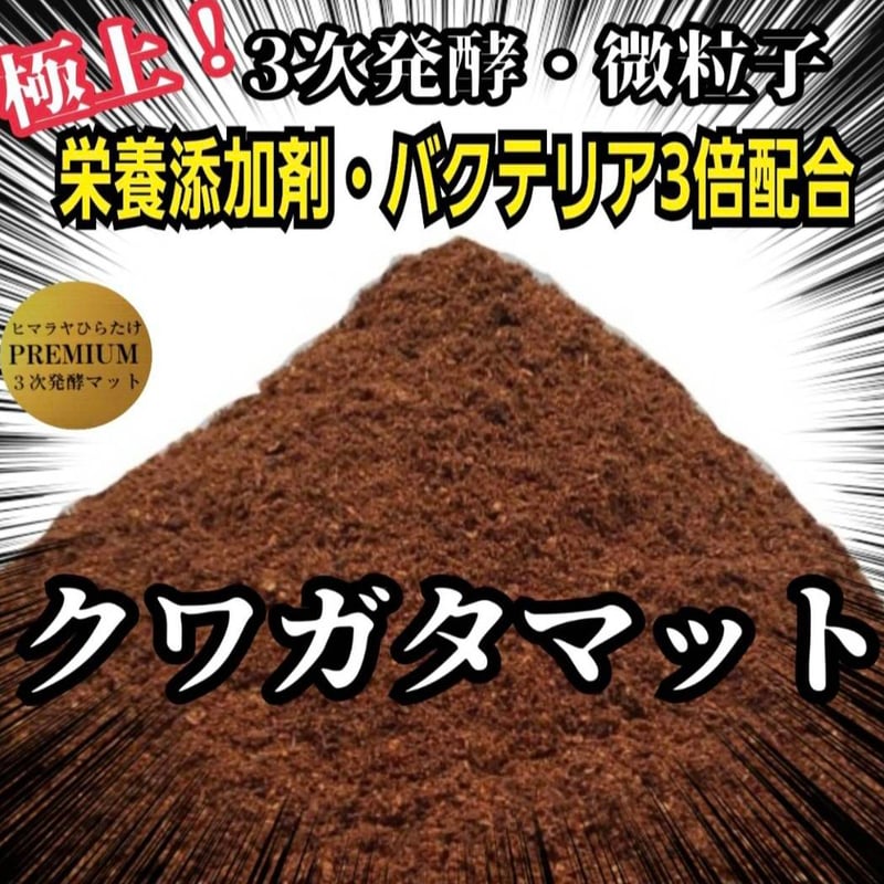 クワガタ幼虫を入れるだけ！便利！1000mlボトル入り【6本セット】進化