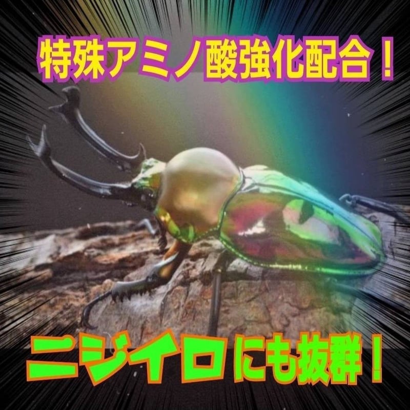 極上！ヒマラヤひらたけ菌糸瓶 800ml【4本セット】ニジイロクワガタに