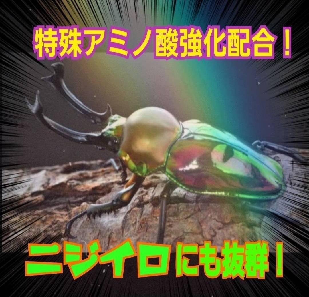 極上！ヒマラヤひらたけ菌糸瓶 800ml【4本セット】ニジイロクワガタに