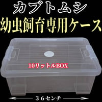 カブトムシ幼虫を低コストで大きくしたい方に！ ハイコスパ発酵マット