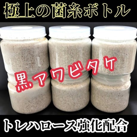 極上！ヒマラヤひらたけ菌糸ブロック【6個】トレハロース強化配合！オオクワに抜群！ 極上！初菌で作成☆ヒマラヤひらたけ菌糸ブロック☆トレハロース