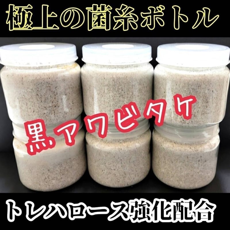 貴重！黒アワビタケ菌糸瓶【6本セット】特殊アミノ酸強化配合