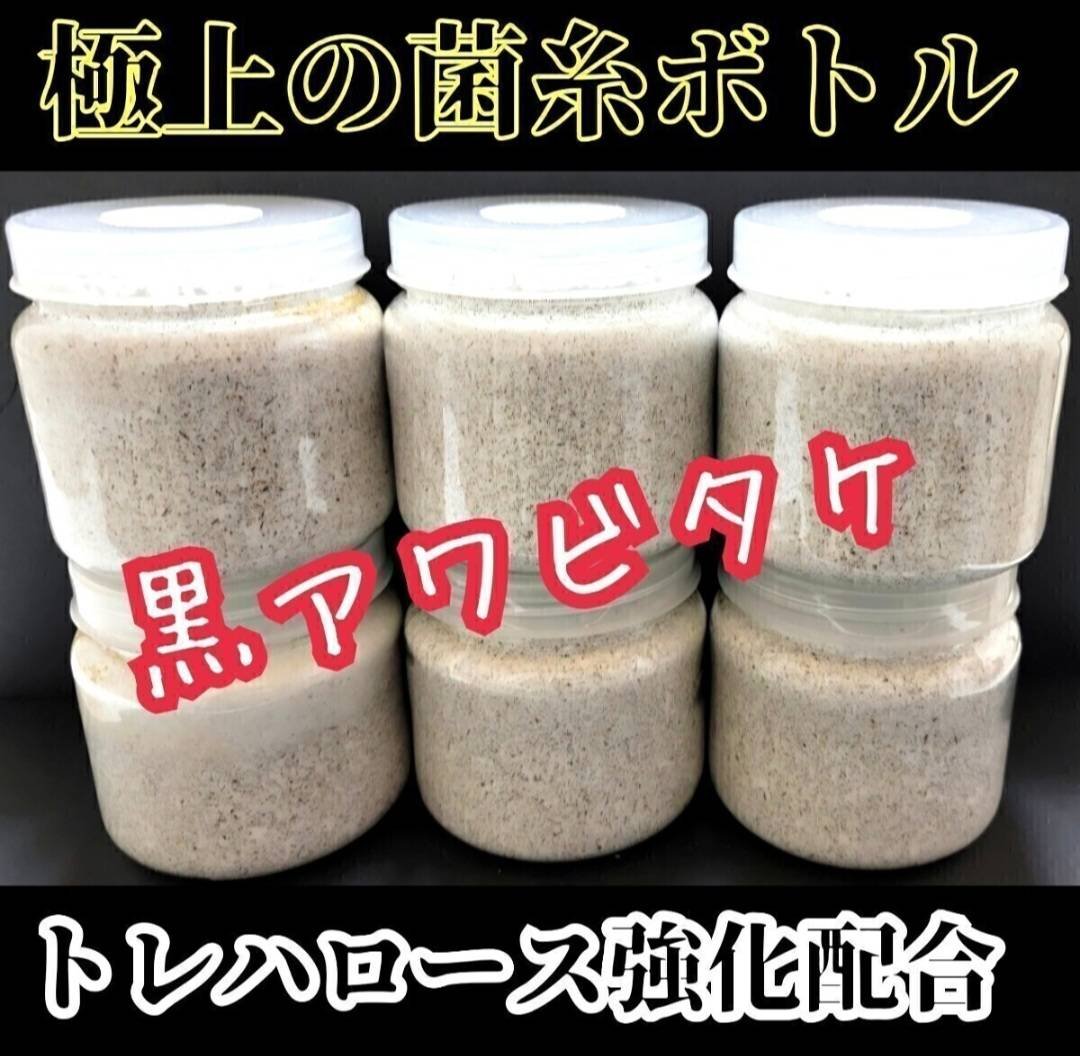 貴重！黒アワビタケ菌糸瓶【6本セット】特殊アミノ酸強化配合