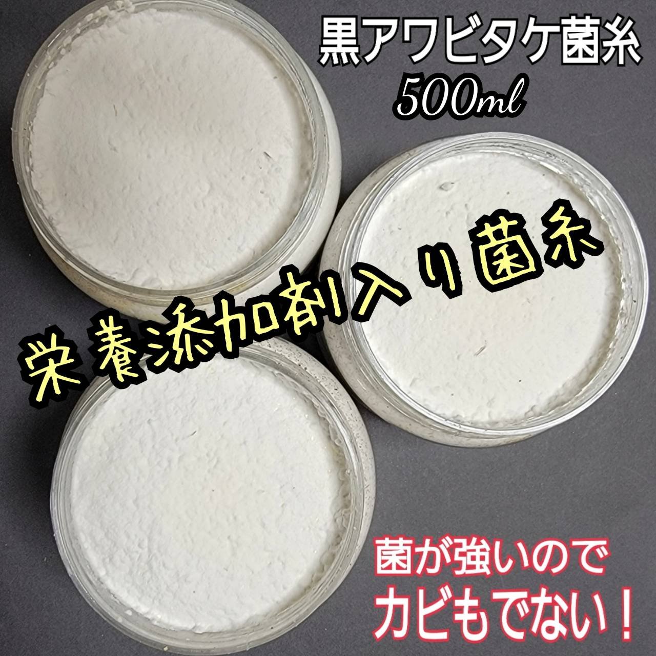 貴重！黒アワビタケ菌糸瓶【6本セット】特殊アミノ酸強化配合