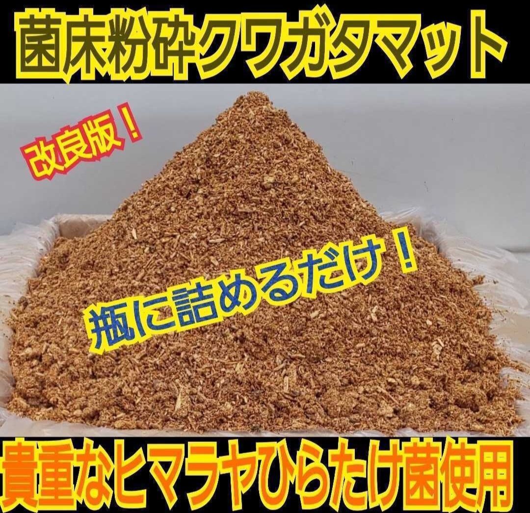 ヒマラヤひらたけ菌床粉砕クワガタマット【5リットル】菌糸の甘い良い