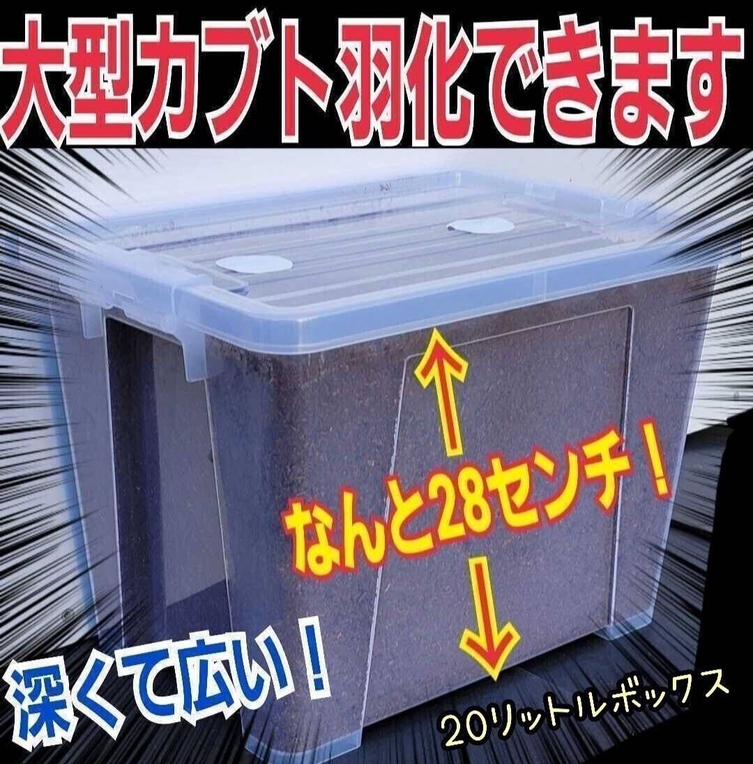 カブトムシ幼虫飼育専用ケース 20リットル マットを入れるだけですぐに