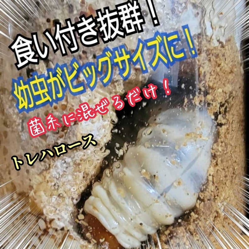 クワガタ・カブトムシ専用栄養添加剤 生体のエネルギー源です