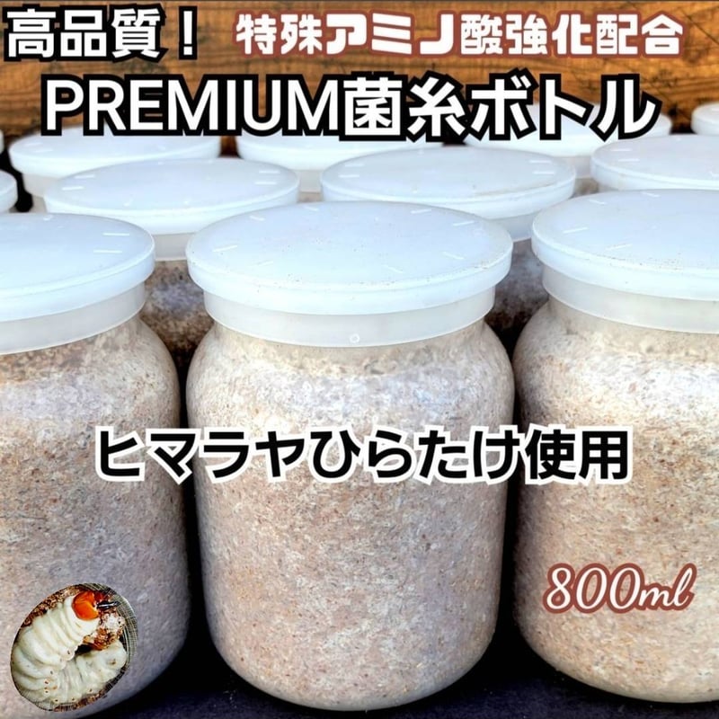 極上！ヒマラヤひらたけ菌糸瓶　800ml【10本】ニジイロクワガタにお薦め！ 極上！ヒマラヤひらたけ菌糸瓶 800ml【4本セット】ニジイロクワガタに