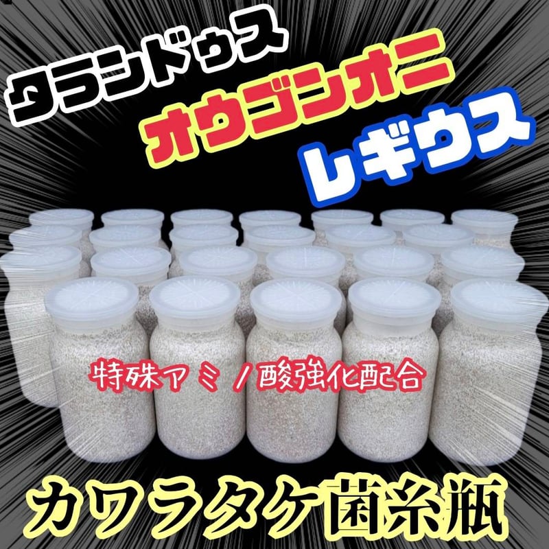 極上！カワラタケ菌糸瓶【9本】特殊アミノ酸強化配合！クワガタ幼虫