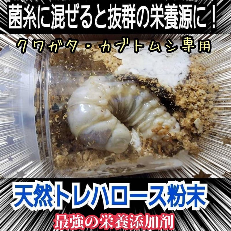 クワガタ・カブトムシ専用栄養添加剤 生体のエネルギー源です