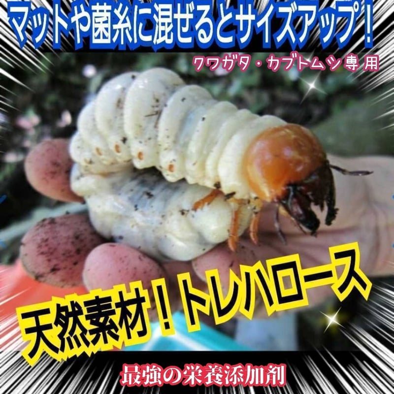 クワガタ・カブトムシ専用栄養添加剤 生体のエネルギー源です