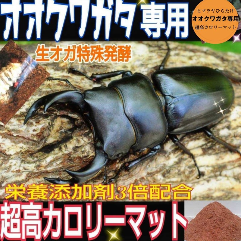 オオクワガタ専用　超高カロリーマット【50L】栄養添加剤3倍配合！生オガ特殊発酵 オオクワガタ専用☆超高カロリーマット【3袋】生オガを特殊発酵！共生