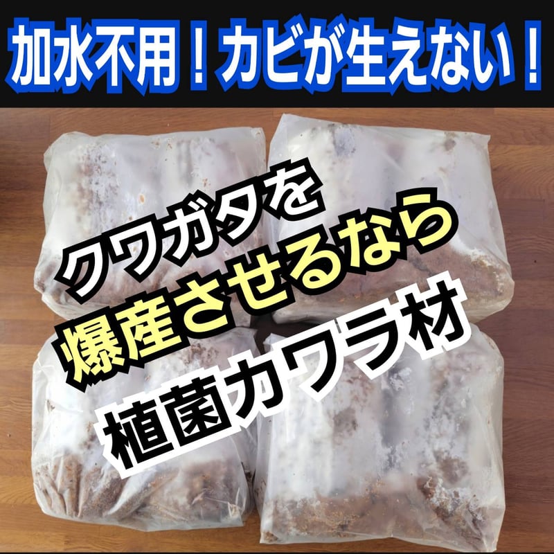 クワガタの産卵木はコレが最強！ カワラタケ植菌材【2本セット