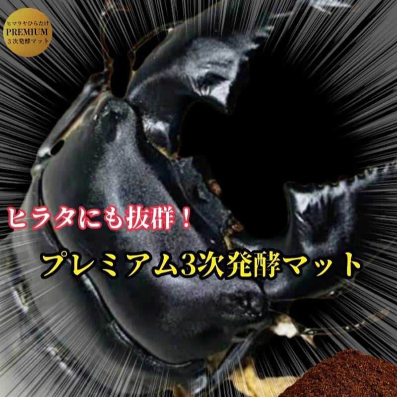 クワガタ幼虫を入れるだけ！便利！1000mlボトル入り【6本セット】進化