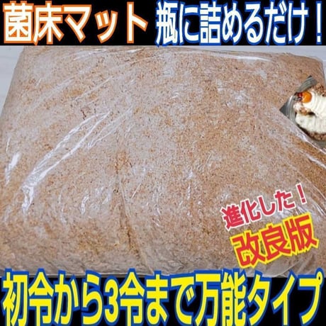 極上!カワラタケ菌糸瓶 タランドゥス・レギウス・オウゴンオニ 極上!カワラタケ菌糸瓶 タランドゥス・レギウス・オウゴンオニ