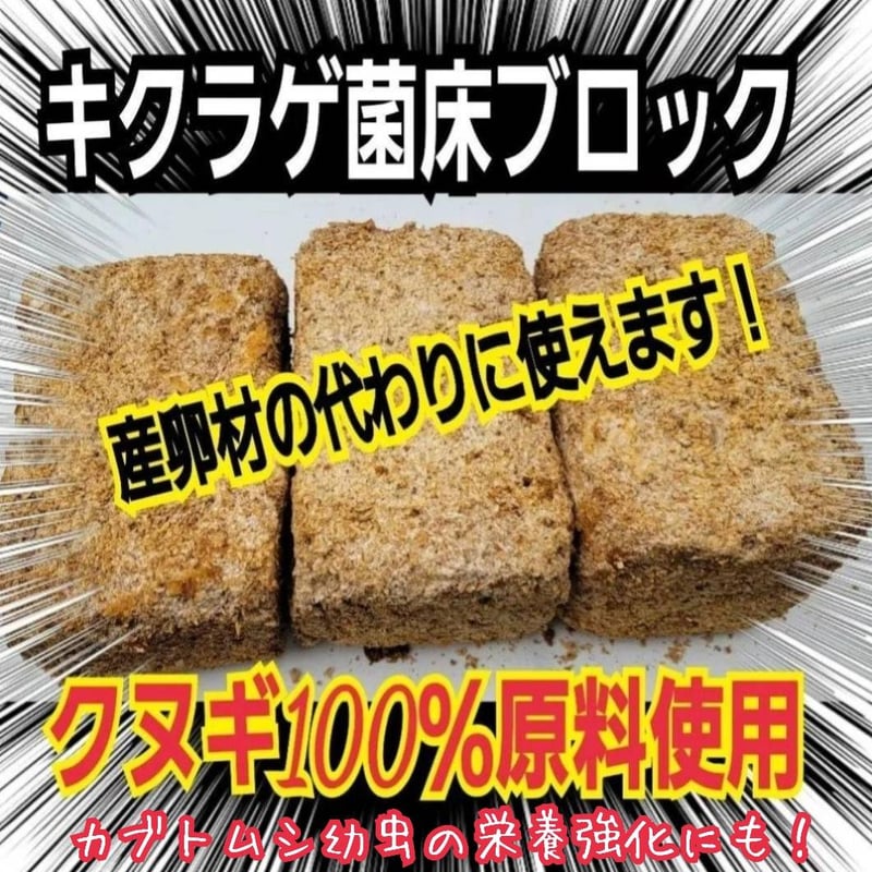 カブトムシ幼虫の栄養強化に抜群！キクラゲ菌床ブロック【3個セット