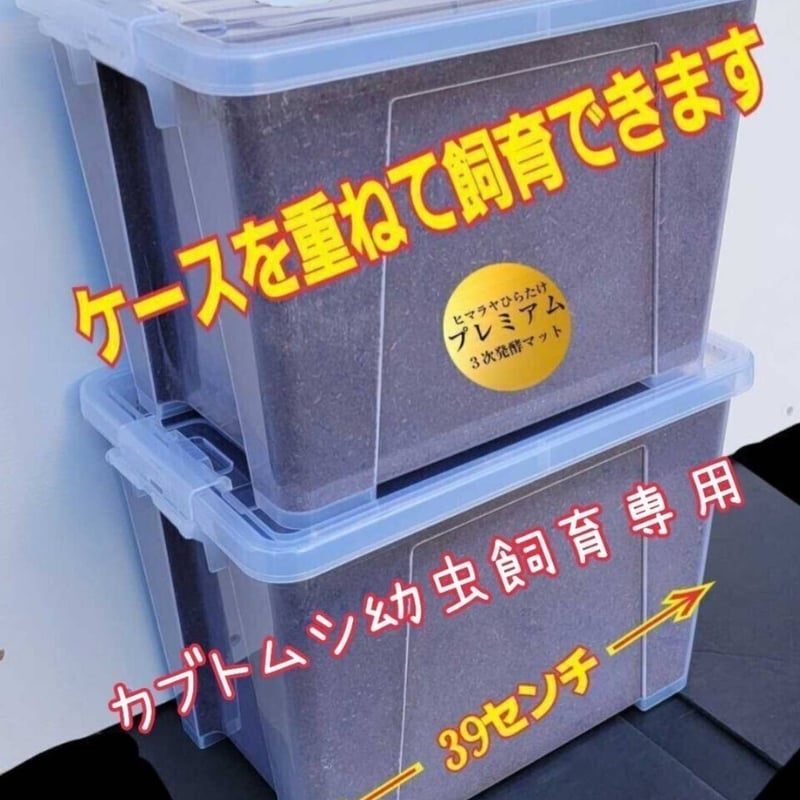 カブトムシ幼虫飼育専用ケース 20リットル マットを入れるだけですぐに