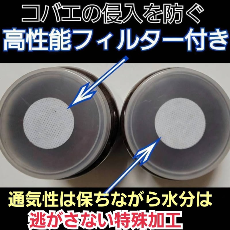 クワガタ幼虫を入れるだけ！便利！1000mlボトル入り【6本セット】進化