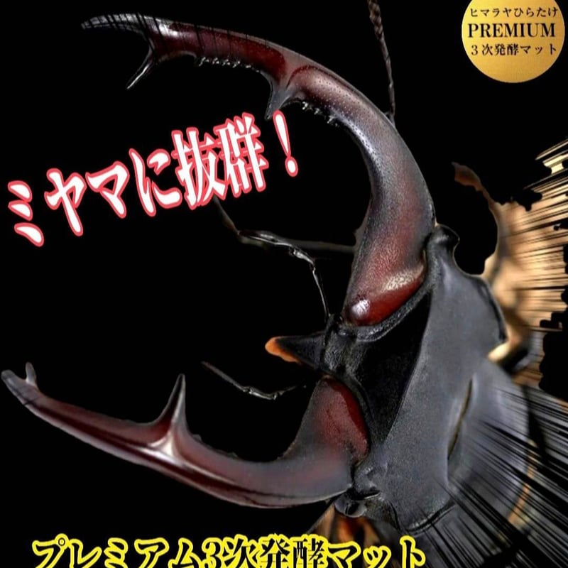 クワガタ幼虫を入れるだけ！便利！1000mlボトル入り【6本セット