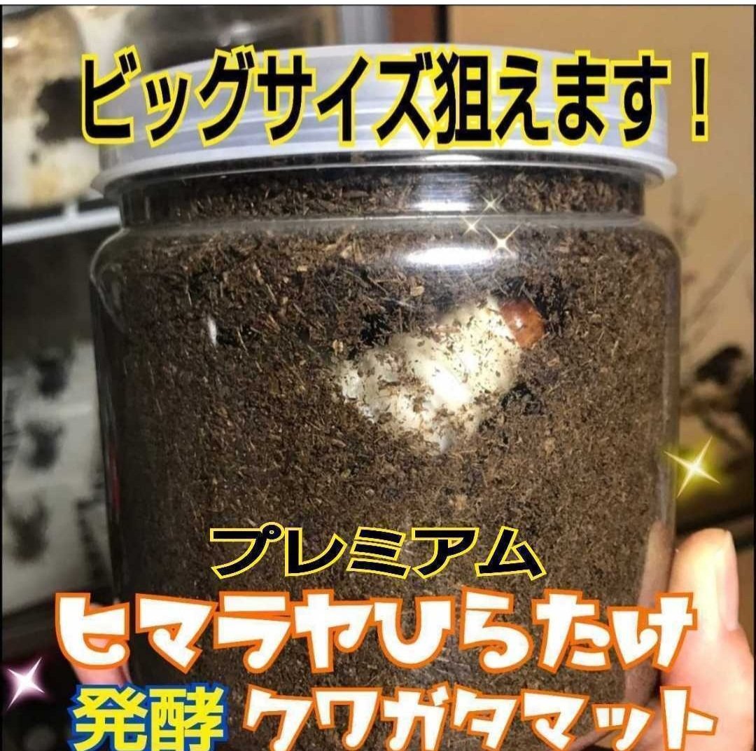 プレミアム3次発酵クワガタマット【10リットル】特殊アミノ酸・共生