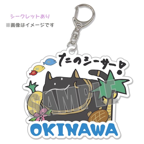 CATEGORY 花宮初奈「217find!」Japan Caravan in OKINAWA