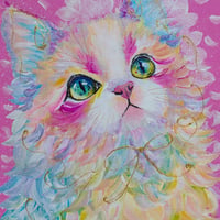 虹猫