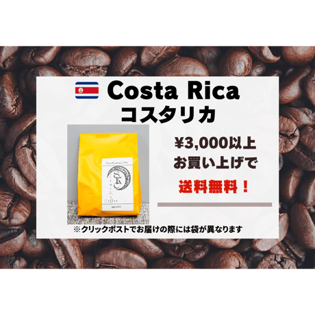 コスタリカ フォレストマウンテン Qグレード 100g