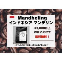インドネシア マンデリン アチェ パンダガヨG1 100g