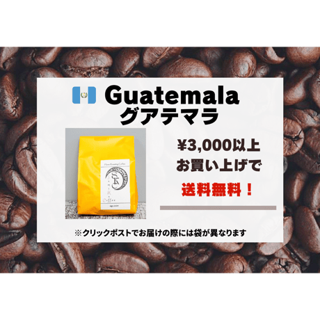 グアテマラ ゴールデンパレンシア リオ コロラド農園SHB 100g