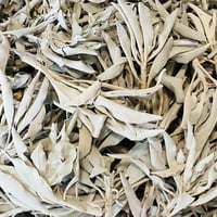 ︎✿【同梱限定】ホワイトセージ15g
