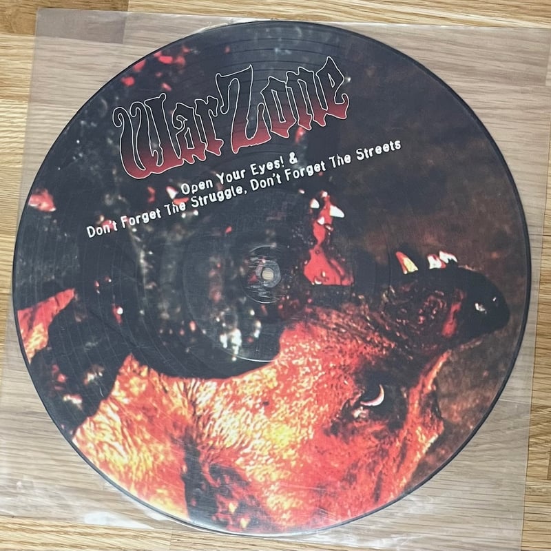 INTEGRITY 12inch レコード 激レア盤 NYHC CATEGORY NYHC・HARD CORE PUNK | WIDSOM STORE