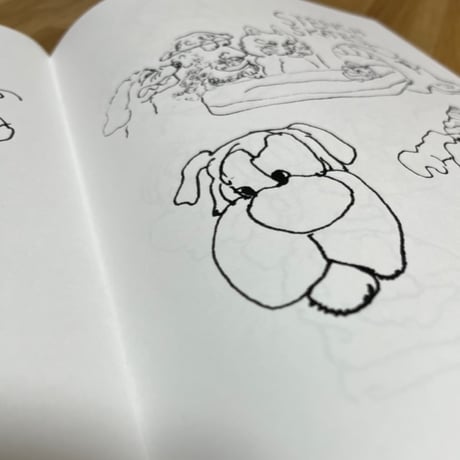 naoki shoji STROLL ZINE