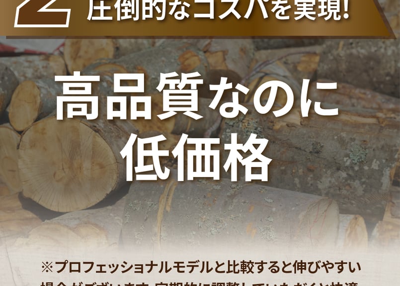 ガイドバー 90PX-40E 10インチ 25cm | スチール 61PMM3-40 | ガー