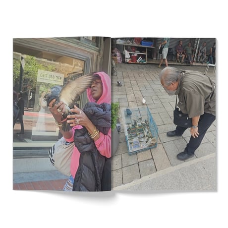 POCKET VISION / Louis Streets - HOBO BOOKS