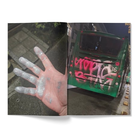 POCKET VISION / Louis Streets - HOBO BOOKS