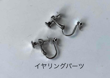 モチーフピアス209 ユーフォニアムsilver（イヤリング変更可）