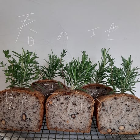 冬の地（ふゆのち）