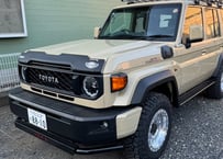 RICK'S アシストミラーホールカバー（純正塗装+ゲル仕様）GDJ76W/再再販76専用