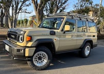 RICK'S カラードミラーカバー 純正カラー仕上げ  For  LAND-CRUISER76/GDJ76W専用