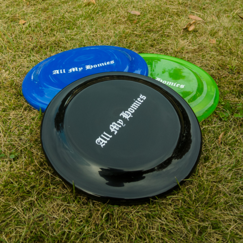 VAN flying discフリスビー送料込みディスプレイ品の為used gng-396545.jpg