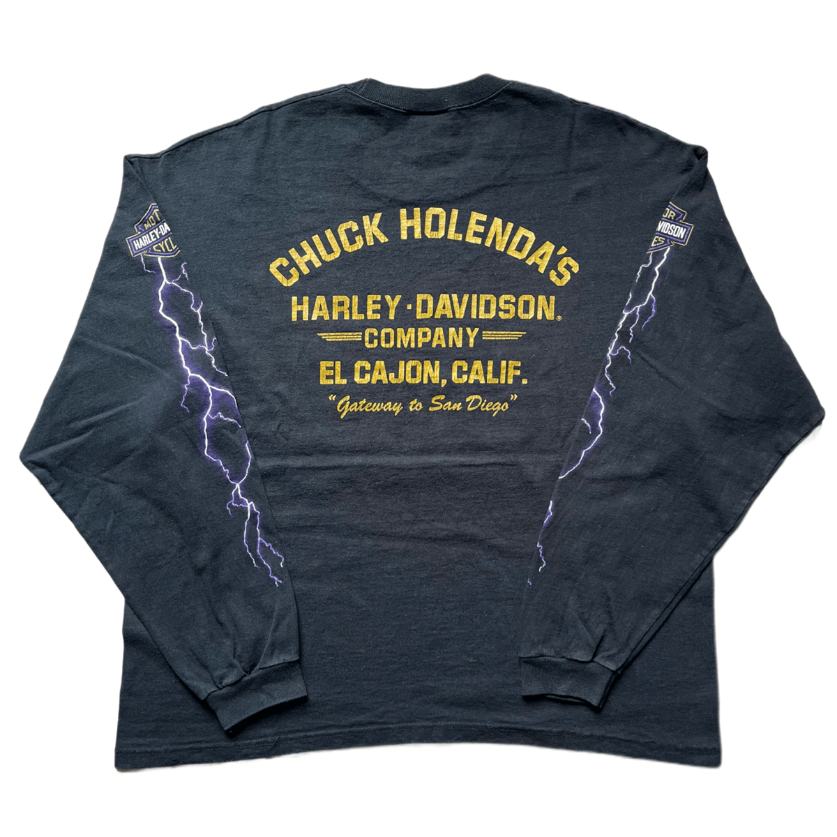 Harley Davidson Purple Thunder LS Tee | Onyx