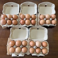 放し飼い卵6個入り5パック(30個）夏秋　チルド便