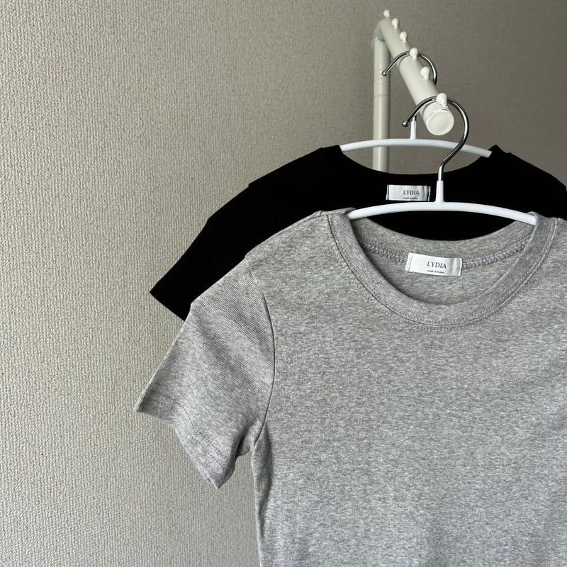 クロップドTシャツ | ALEUMDAUA