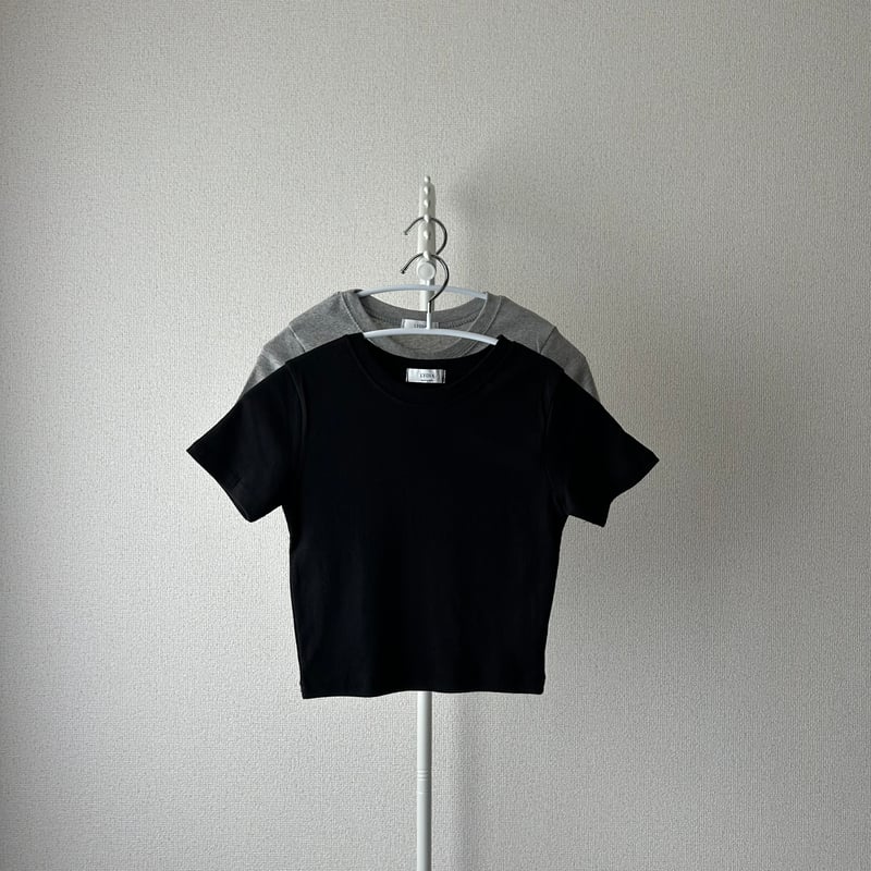 クロップドTシャツ | ALEUMDAUA