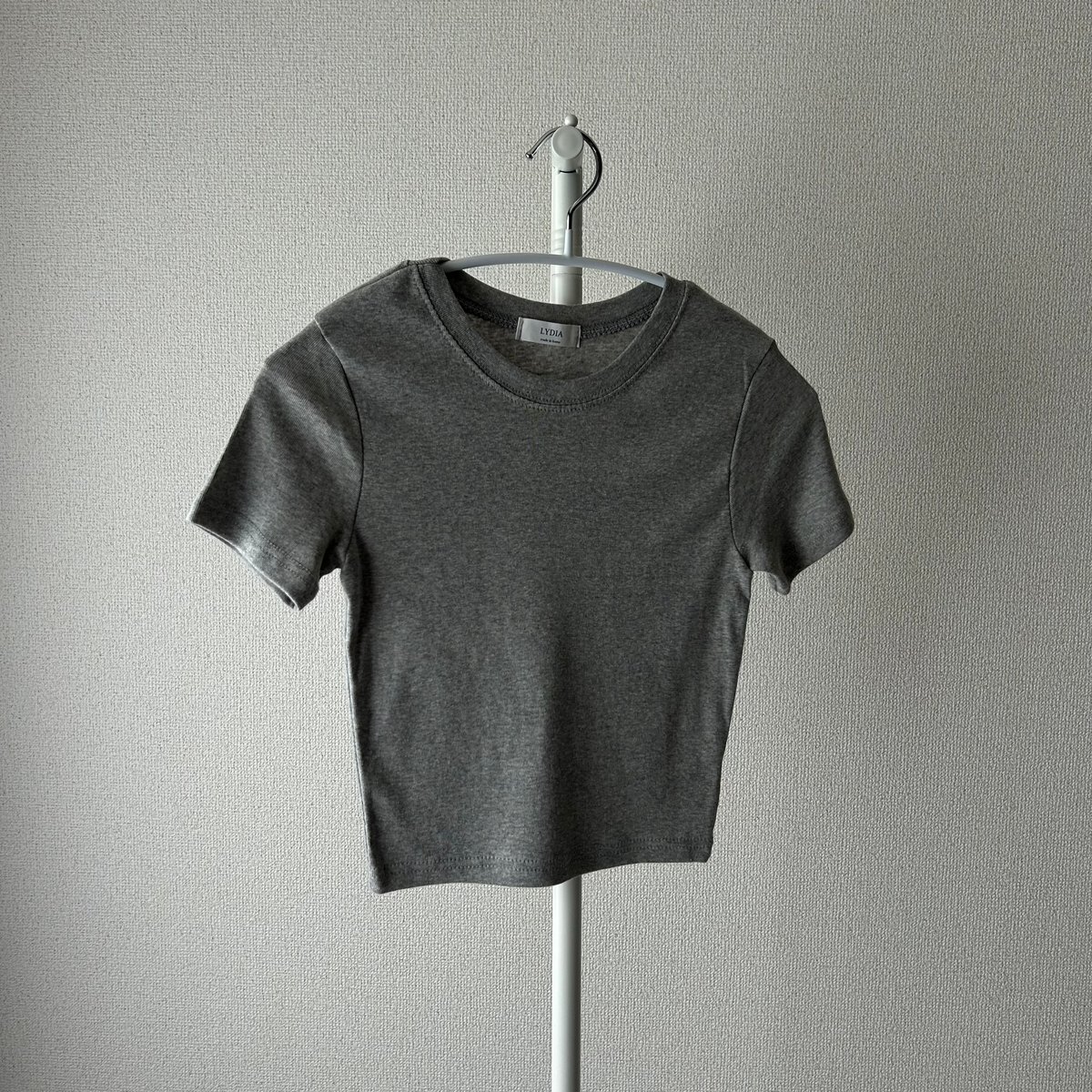 クロップドTシャツ | ALEUMDAUA