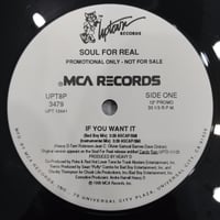 SOUL FOR REAL / IF YOU WANT IT (PROMO 12)