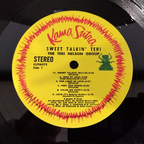 The Teri Nelson Group / Sweet Talkin' Teri